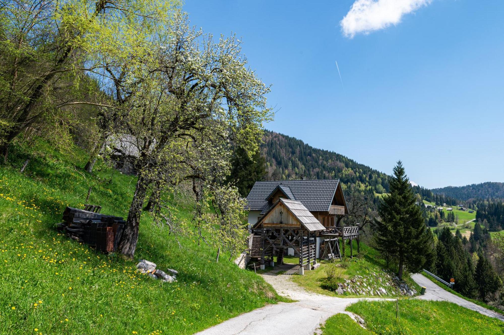 Podjelje Villa Kültér fotó